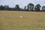 resIMG_20131013_153212_0642.JPG